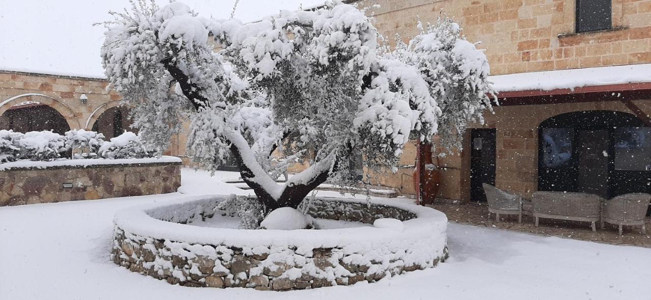 Bed & Breakfast Masseria San Nicola Torre Santa Susanna