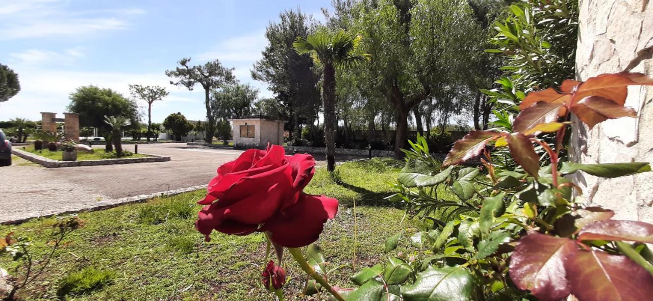 Masseria San Nicola Bed & Breakfast *